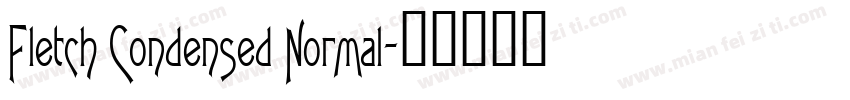 Fletch Condensed Normal字体转换